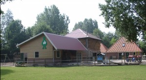 08260046