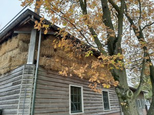 20191121_130152