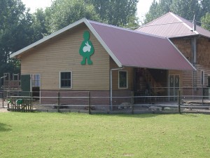 boerentas