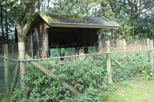 bijenstal (archief)