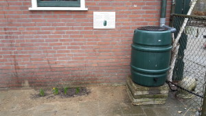 Regenton januari 2019