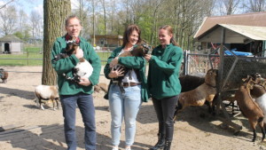 boerenvreugd-vrijwilligers-640x360