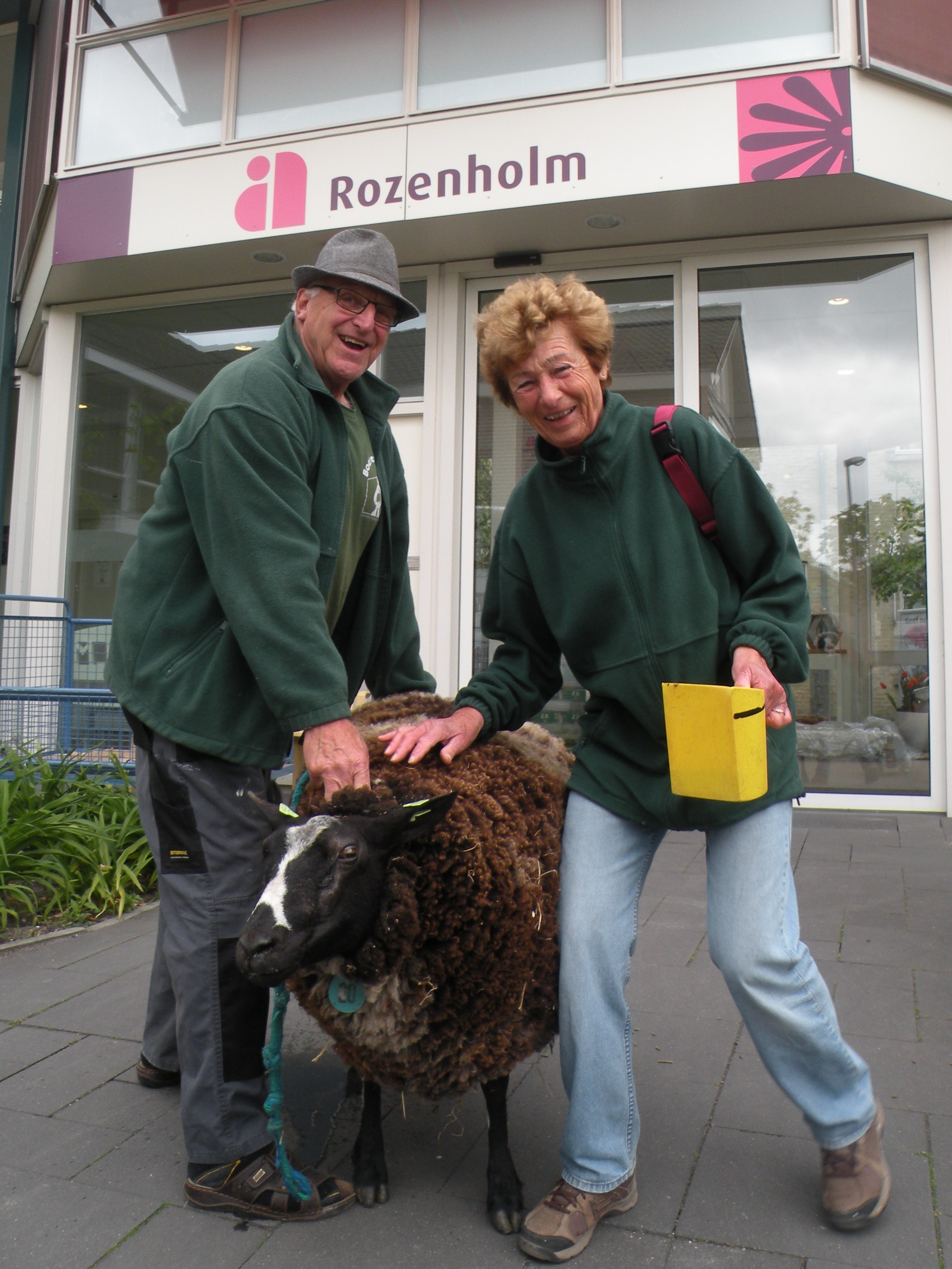 Schaapscheren